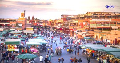 marrakech : les avantages du programme « go siyaha » présentés aux professionnels du transport touristique