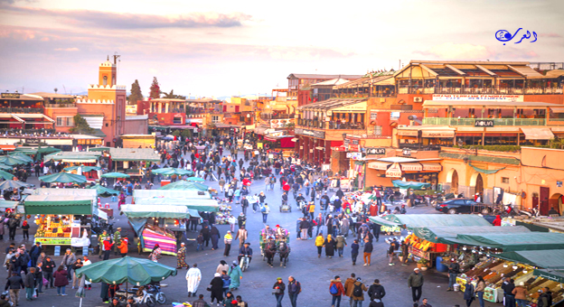 marrakech : les avantages du programme « go siyaha » présentés aux professionnels du transport touristique
