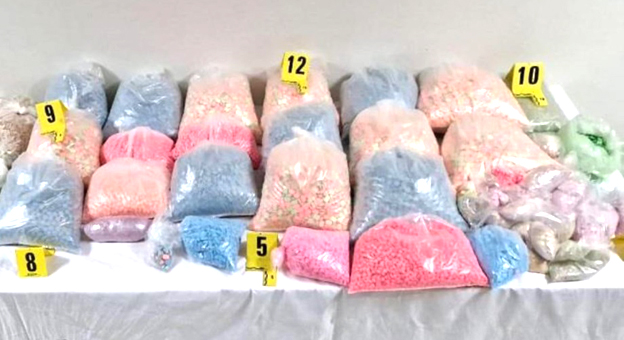 ولاية أمن مكناس تحجز 1500 قرص مهلوس وتوقف شخصين