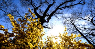 PRÉVISIONS MÉTÉOROLOGIQUES POUR LE MARDI 30 JANVIER 2024