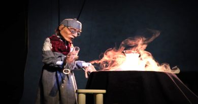 Fes-Art : spectacle de théâtre de marionnettes, le 19 février en ancienne médina de Fès