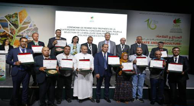 Meknès : 12 huiles d’olive appartenant à quatre régions primées lors du 14ème concours national