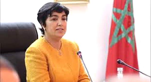 زينب العدوي : استقلالية الأجهزة العليا للرقابة والمحاسبة ضرورة حتمية