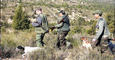 L’ANEF renforce la lutte contre le braconnage à la veille de la nouvelle saison de chasse